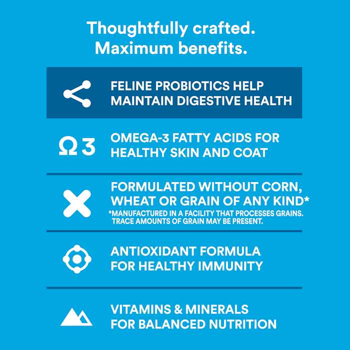 WholeHearted Grain Free Salmon Formula Dry Cat Food