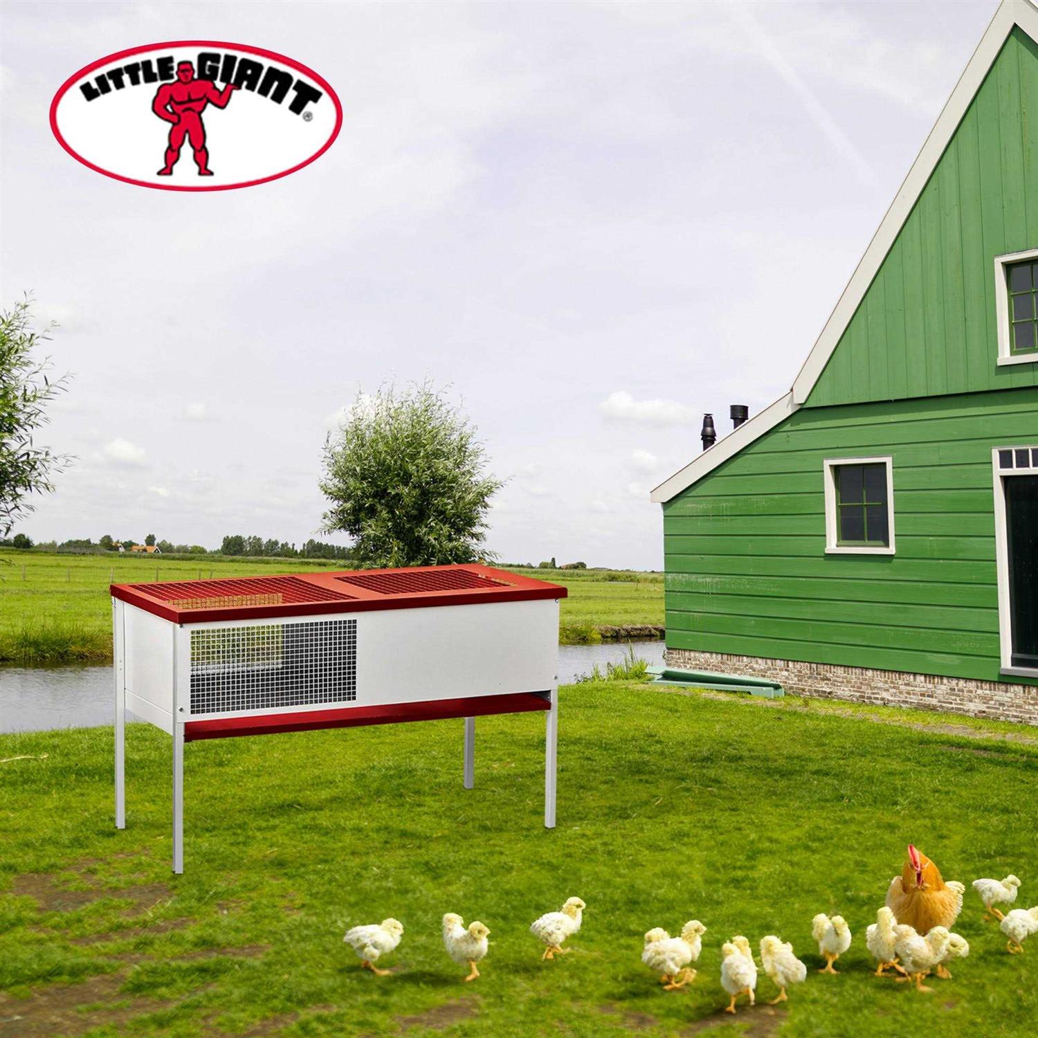 Little Giant Chick Brooder Box Galvanized
