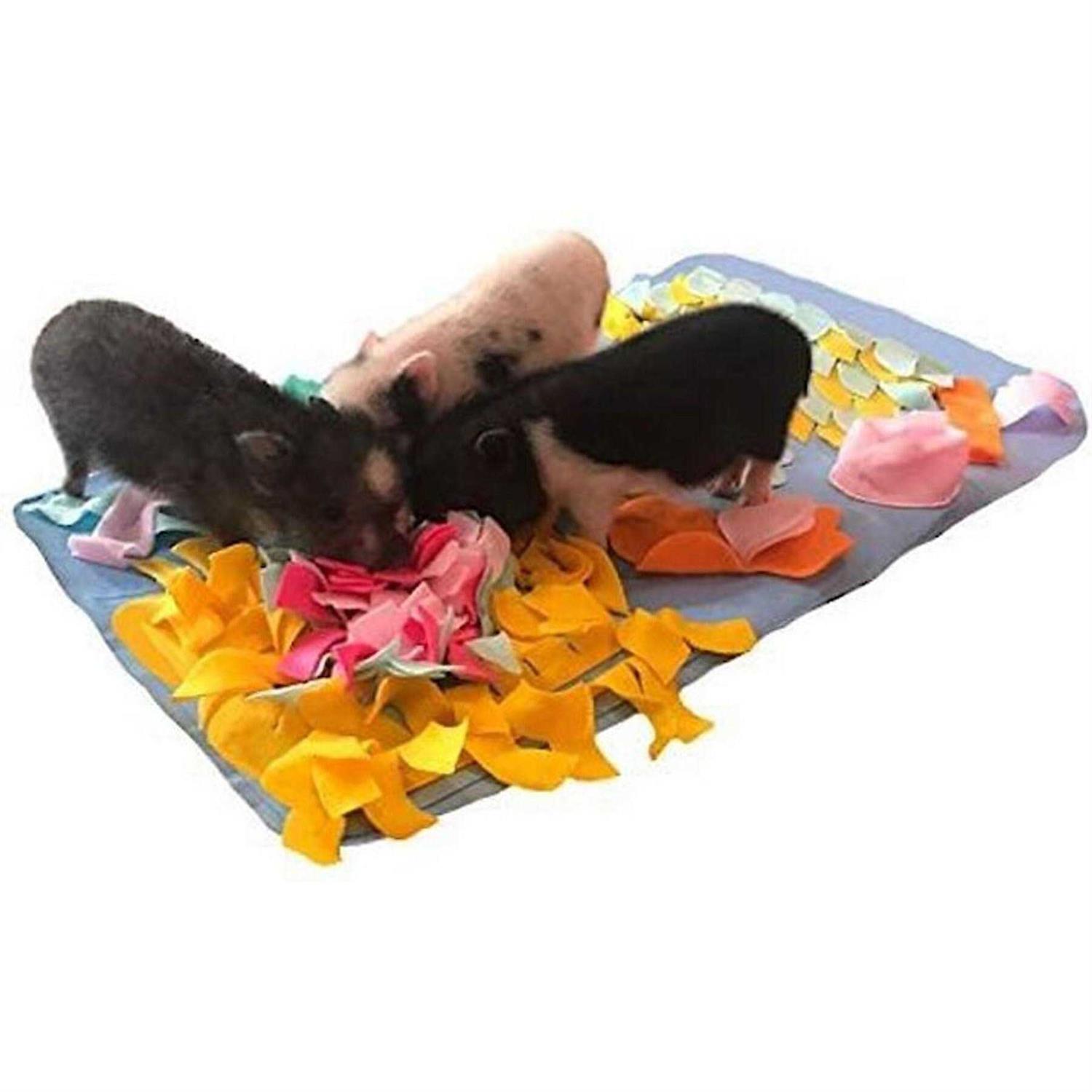 Piggy Poo and Crew Pig Rooting Snuffle Mat