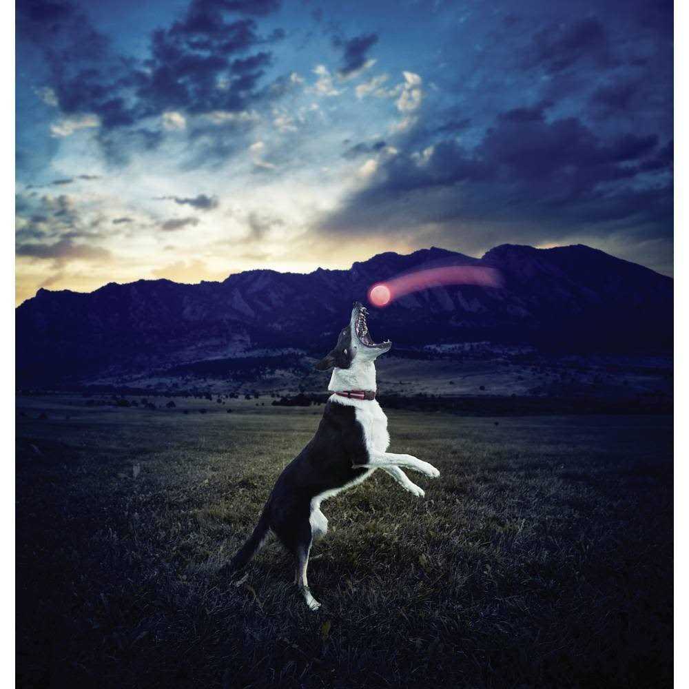 NITE IZE GLOWSTREAK LED BALL