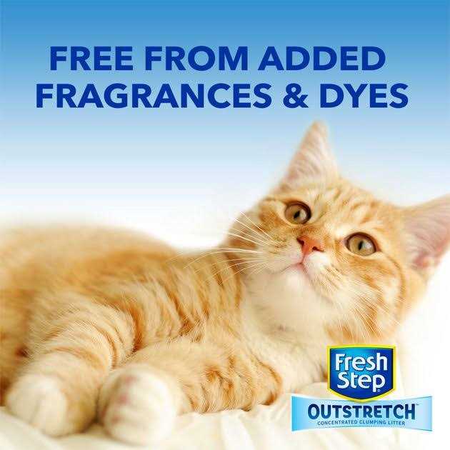 Fresh Step Outstretch Concentrated Clumping Cat Litter Unscented