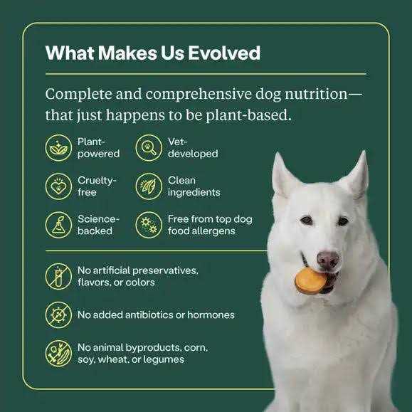 Wild Earth Classic Roast Flavor Maintenance Formula Dry Dog Food