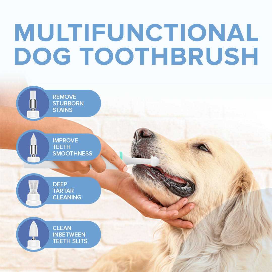 PupsDream Electric Toothbrush for Dogs with Specialized Brush Heads Colour
