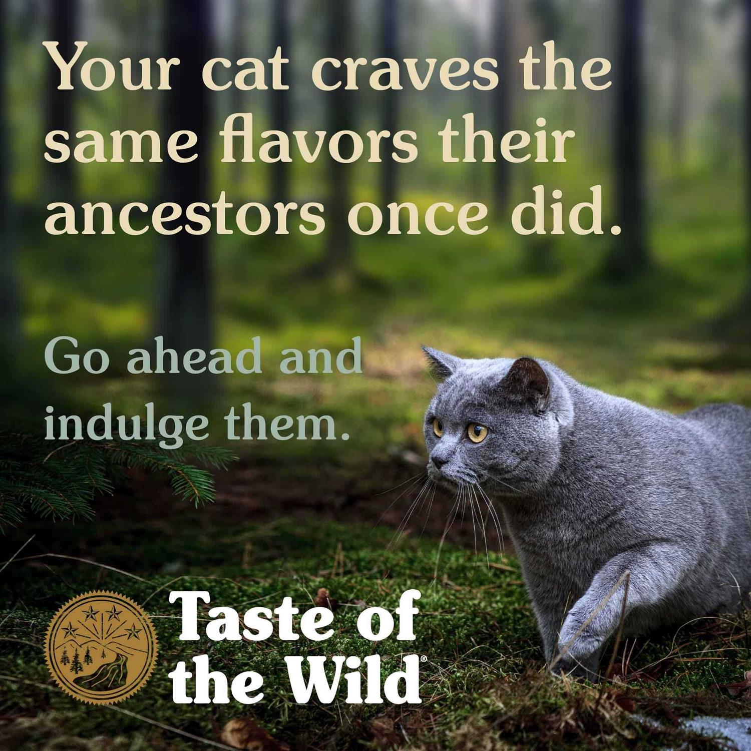 Taste of the Wild Canyon River Cat Food
