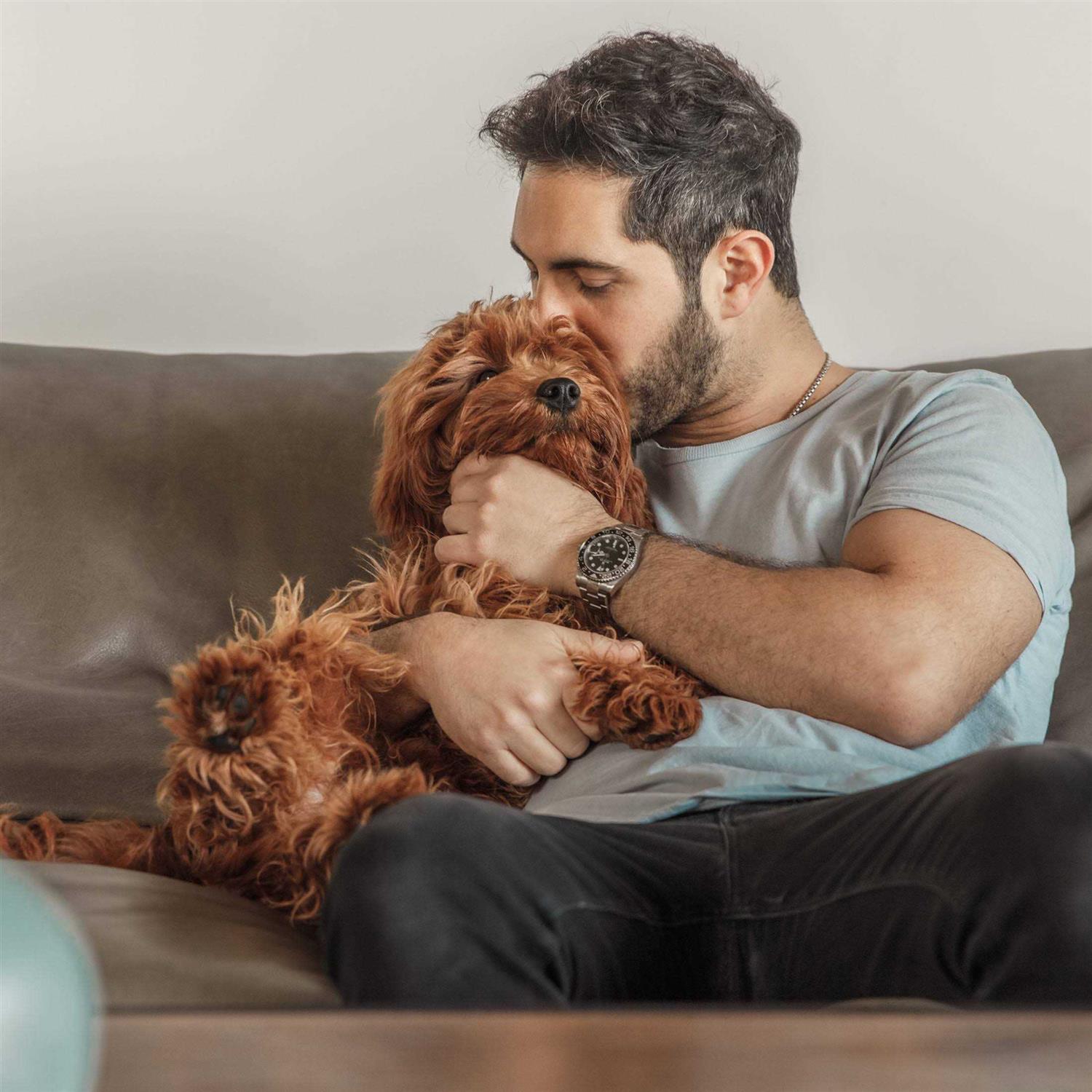 Jinx Salmon Sweet Potato Carrot Grain Free Dog Food