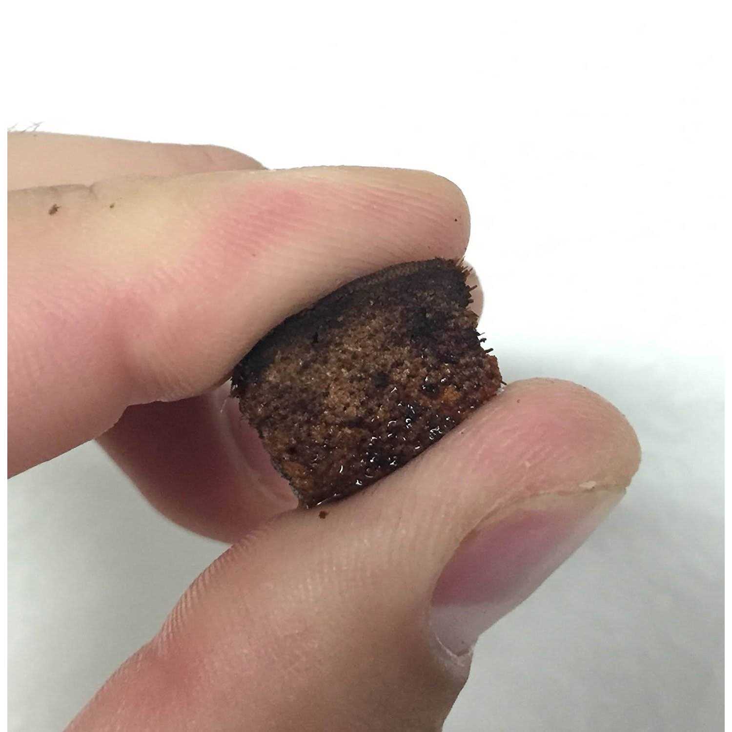 Reptichip Coconut Substrate for Reptiles Loose Coarse Coconut Husk Chip Reptile Bedding