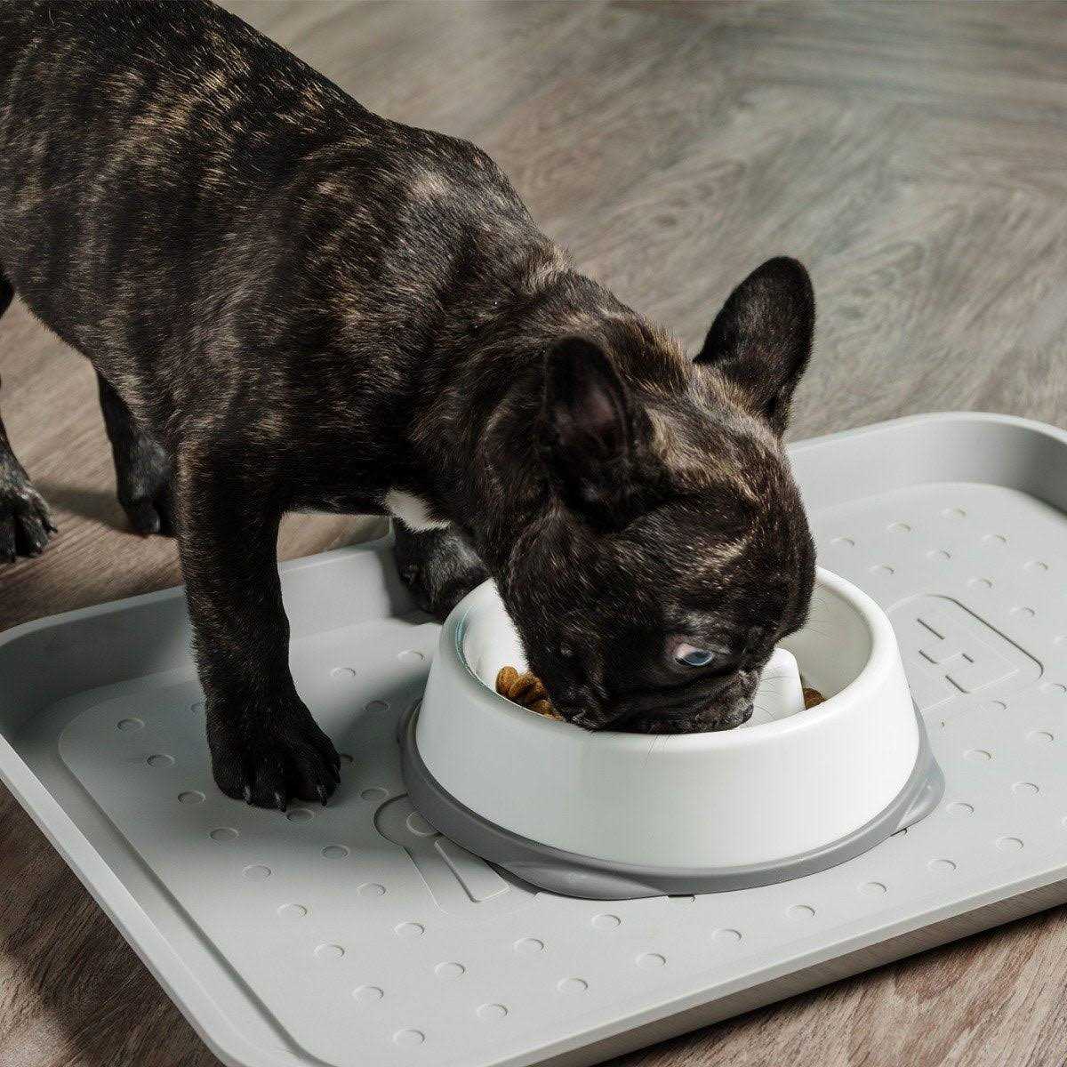 IRIS USA Slow Feeding Bowl for Short Snouted Pets