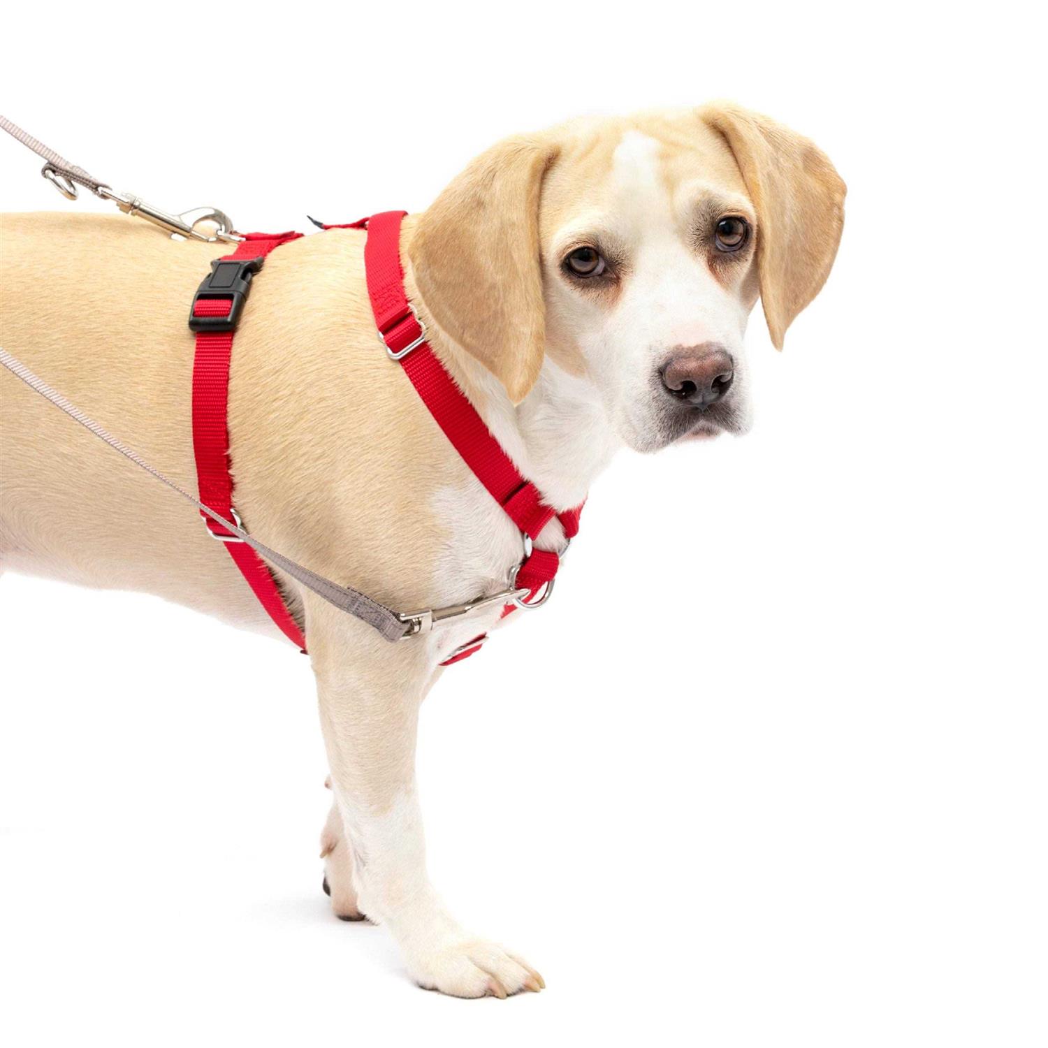 PetSafe Sure-Fit Harness