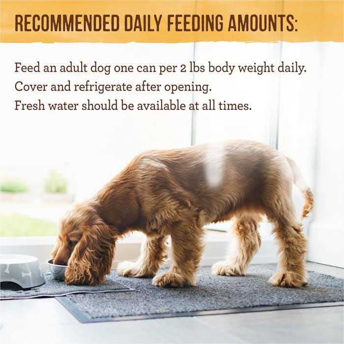 Merrick Pet Care Grain Free Dinner Lil’ Plates Petite Pates Adult Wet Dog Food