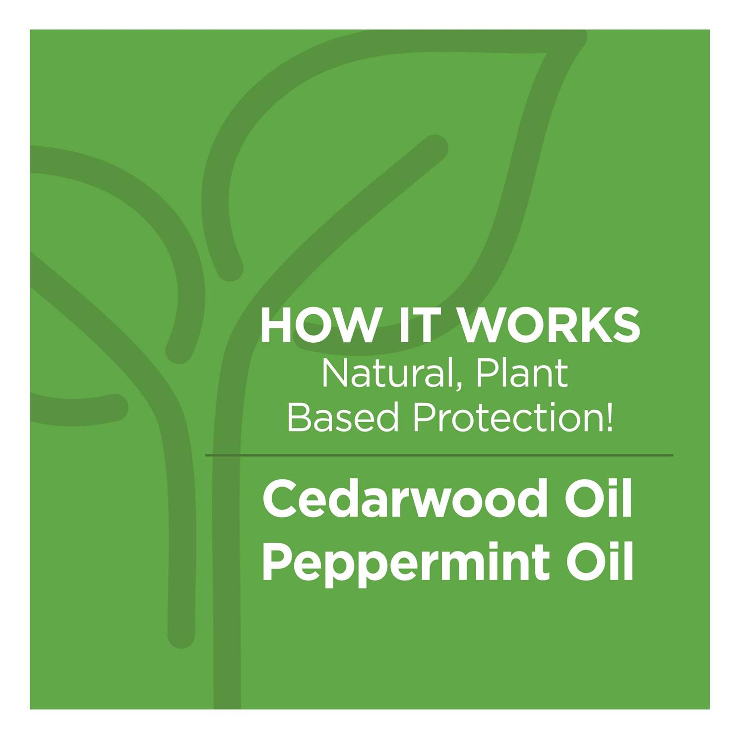 Vetality Naturals Flea & Tick Collar for Dogs