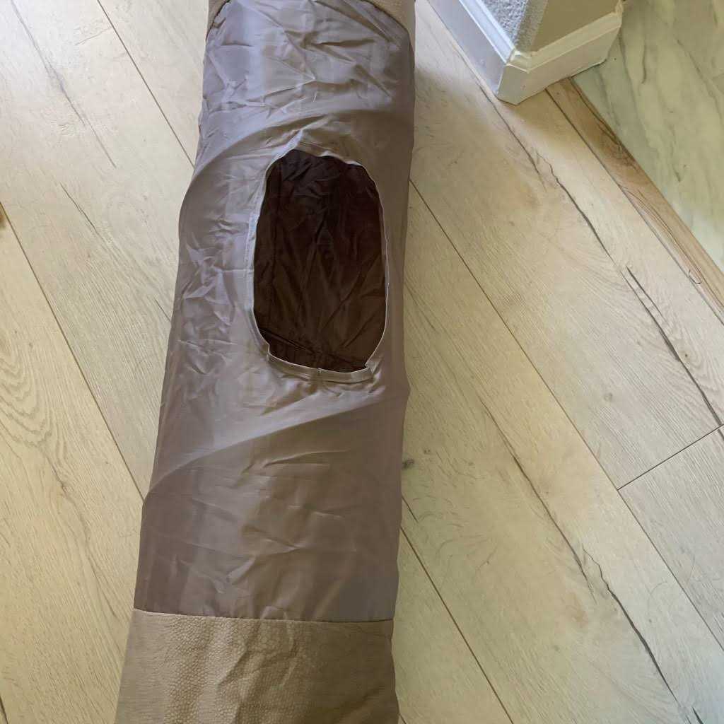 Best Friends by Sheri Ilan Oxford Cat Tunnel