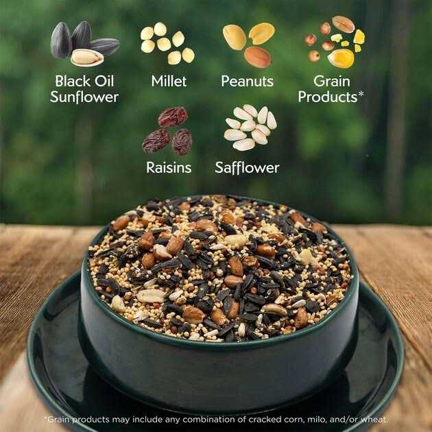 Morning Song Nut & Fruit Wild Bird Food