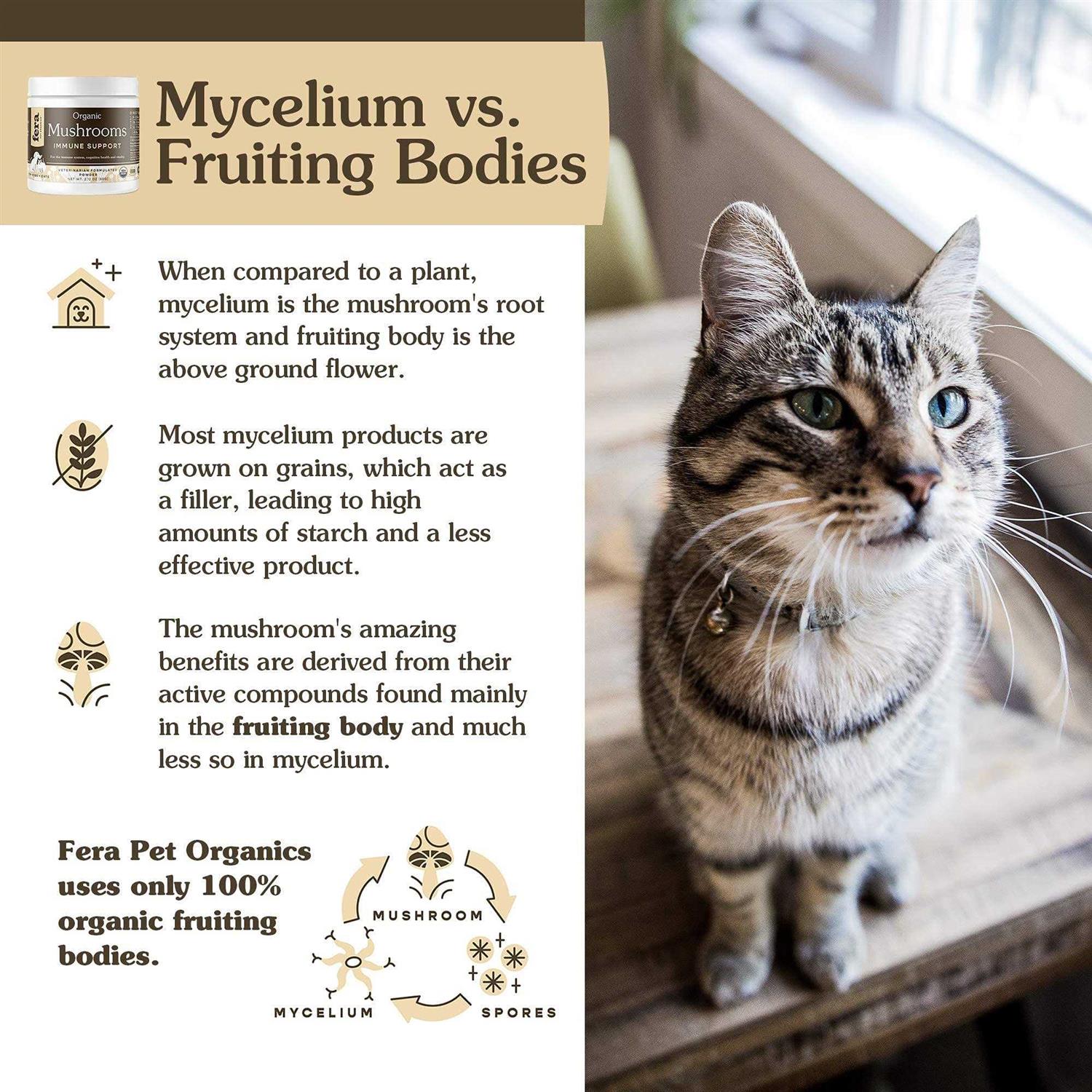 Fera Pet Organics USDA Organic Mushrooms Immune Support for Dogs & Cats