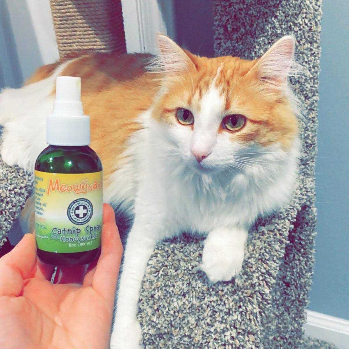 Meowijuana Honeysuckle Catnip Spray