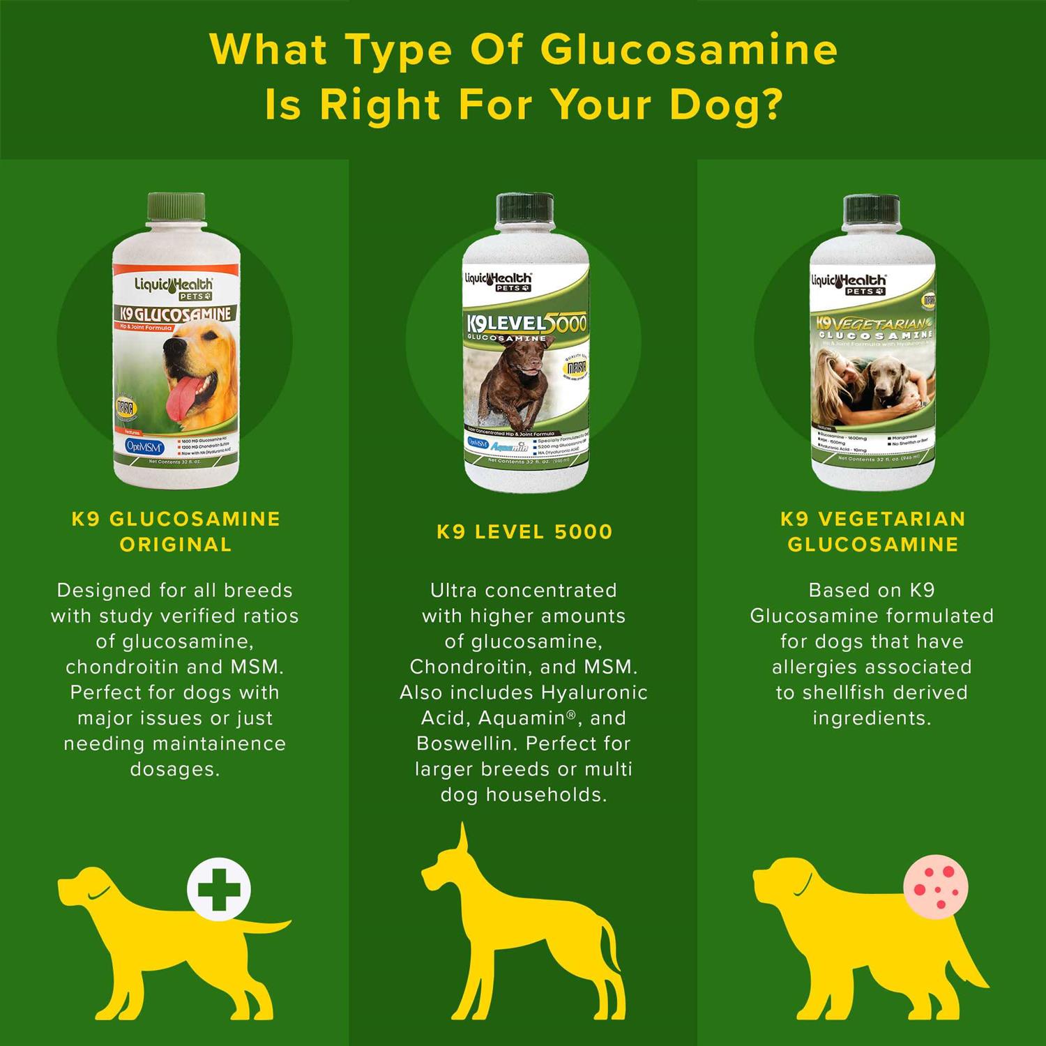 Liquid Health Pets K9 Glucosamine for Dogs Joint Supplement