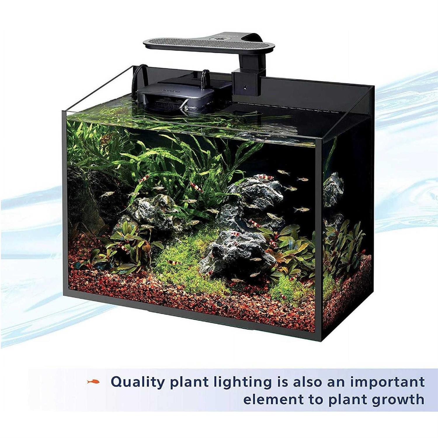 Aqueon Aquarium Food Plant