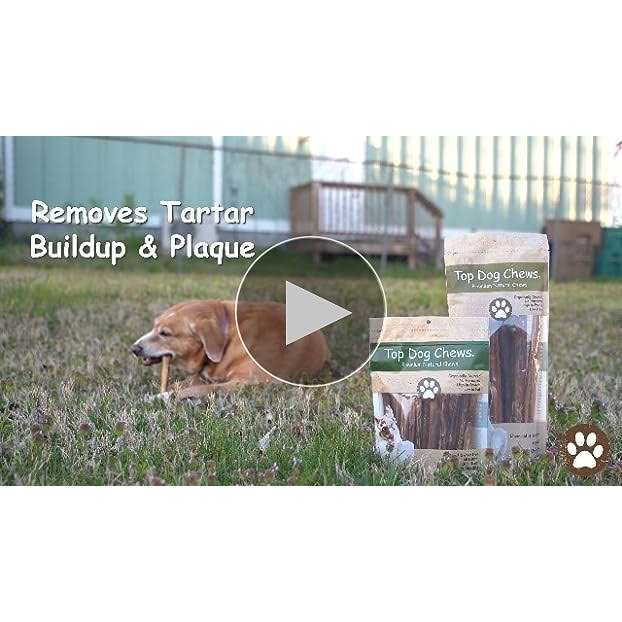 Top Dog Chews Bully Sticks Natural Beef