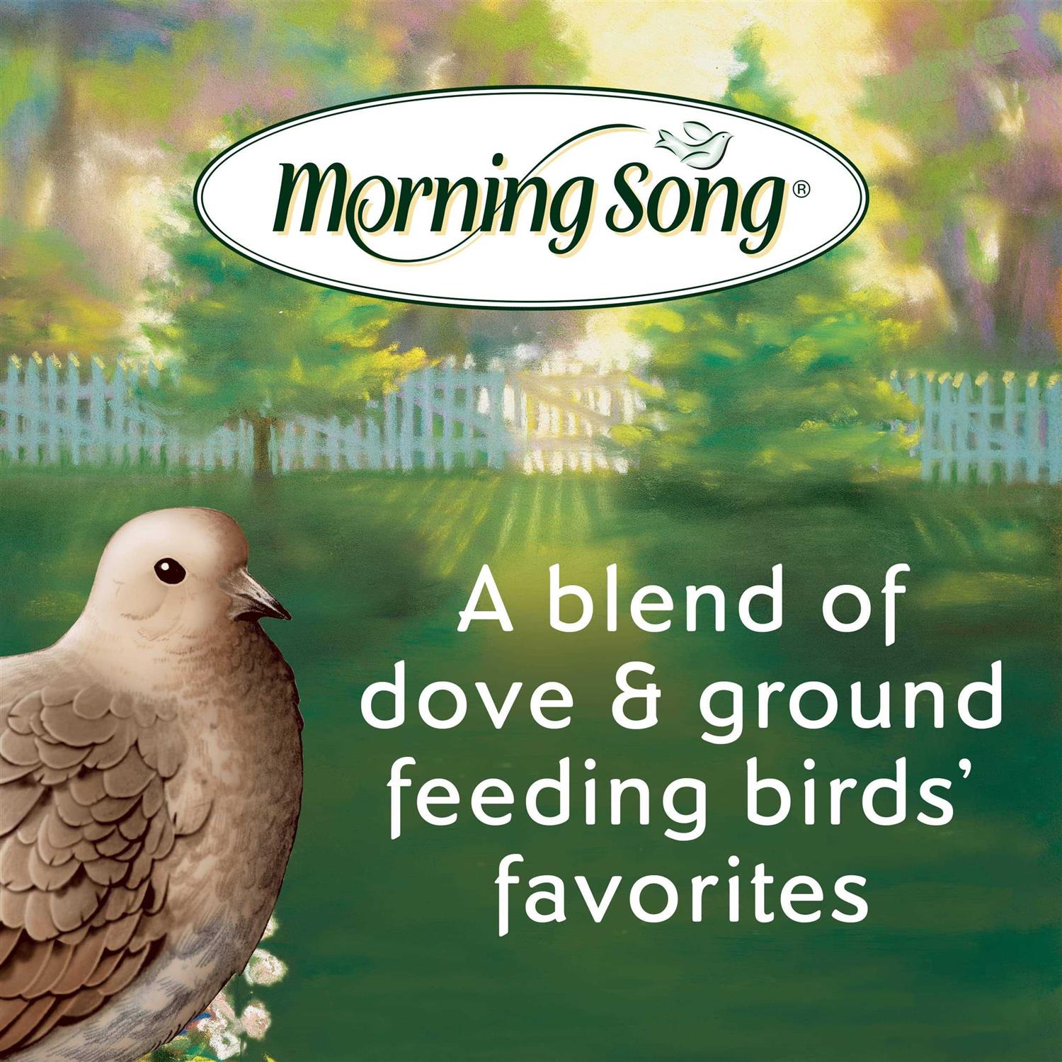 Morning Song 11974 Dove And Ground Feeding Wild Bird Food