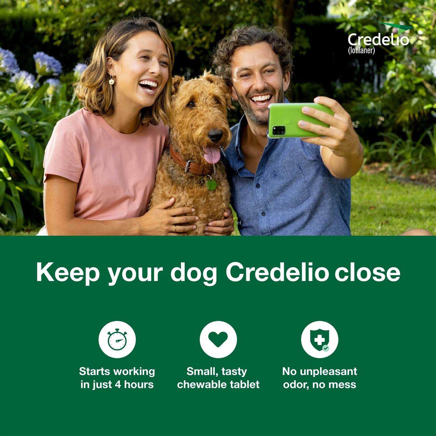 Credelio Chewable Tablet for Dogs