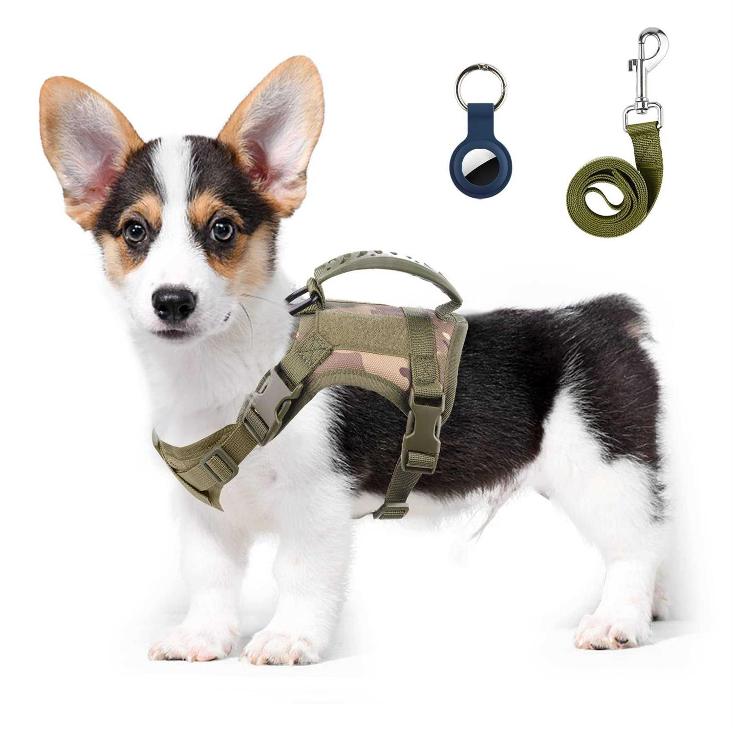 Annchwool Tactical Dog Harness for Small Dogs with Handle, Military Service Dog Vest and Leash Set for Outdoor Training Walking Hiking