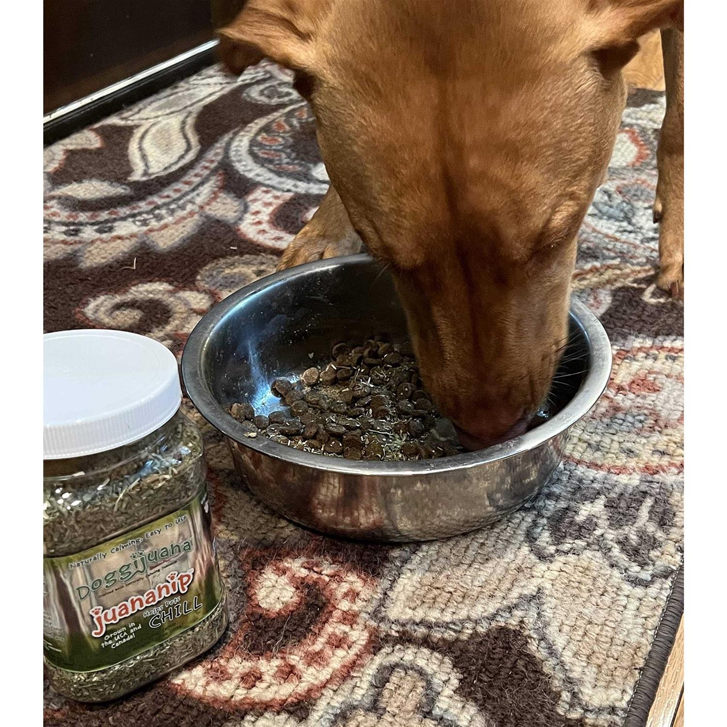Doggijuana Juananip 3.67-oz jar