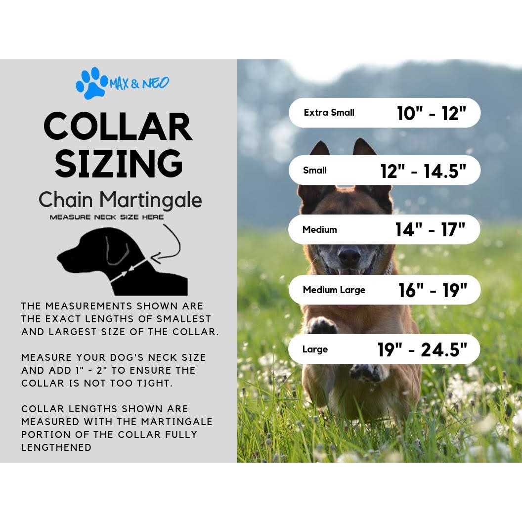 Max and Neo Stainless Steel Chain Martingale Collar We Donate a Collar to a Dog Rescue for Every Collar Sold