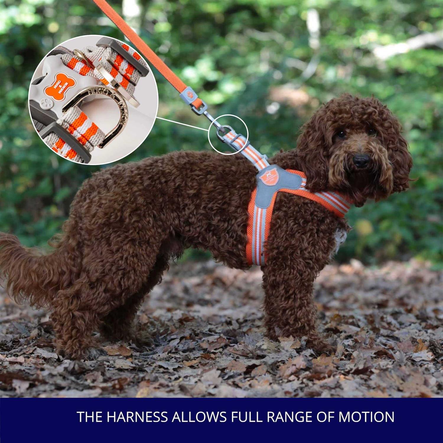 HUGO & HUDSON Easy Walk V Dog Harness