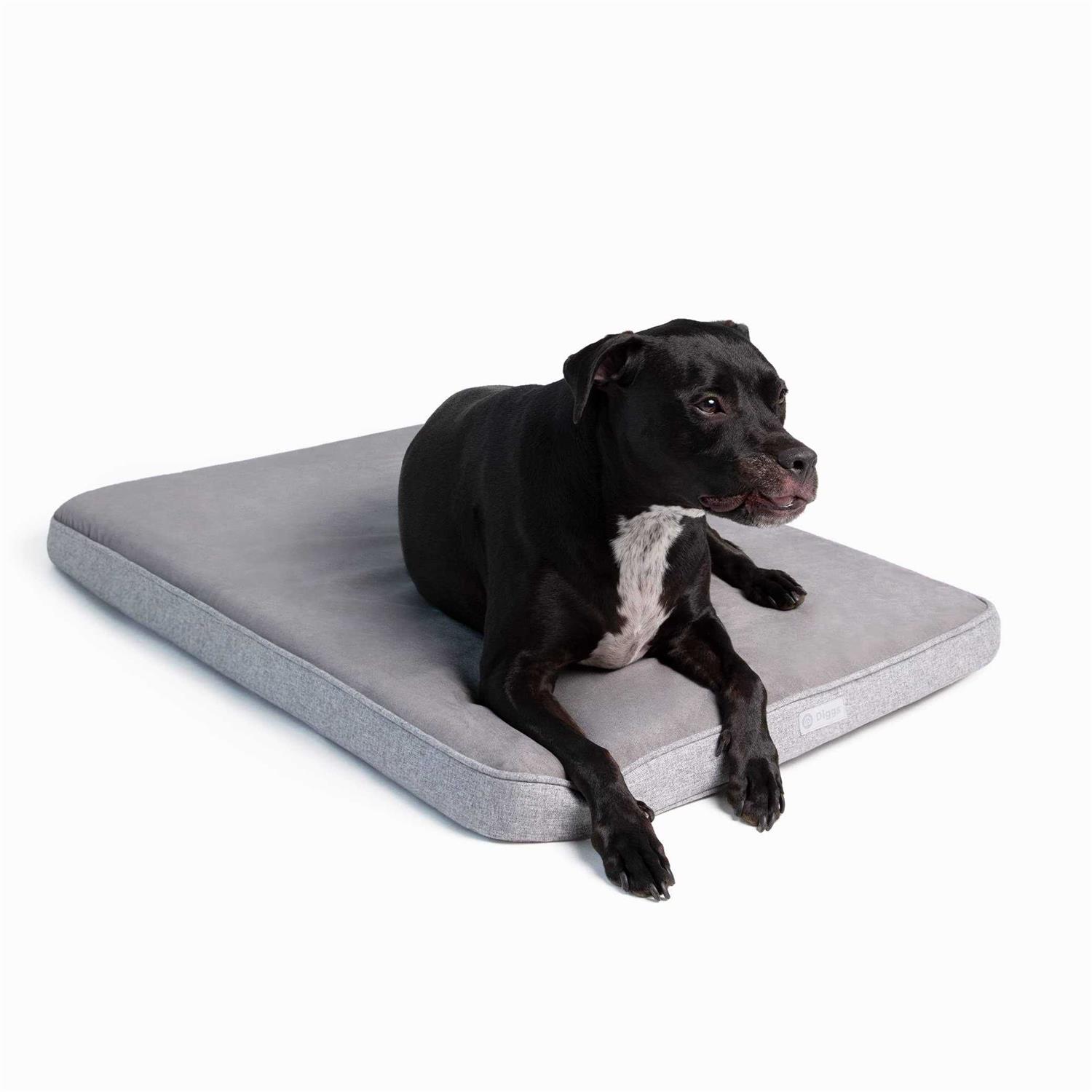 Snooz Memory Foam Crate Pad & Dog Bed Diggs
