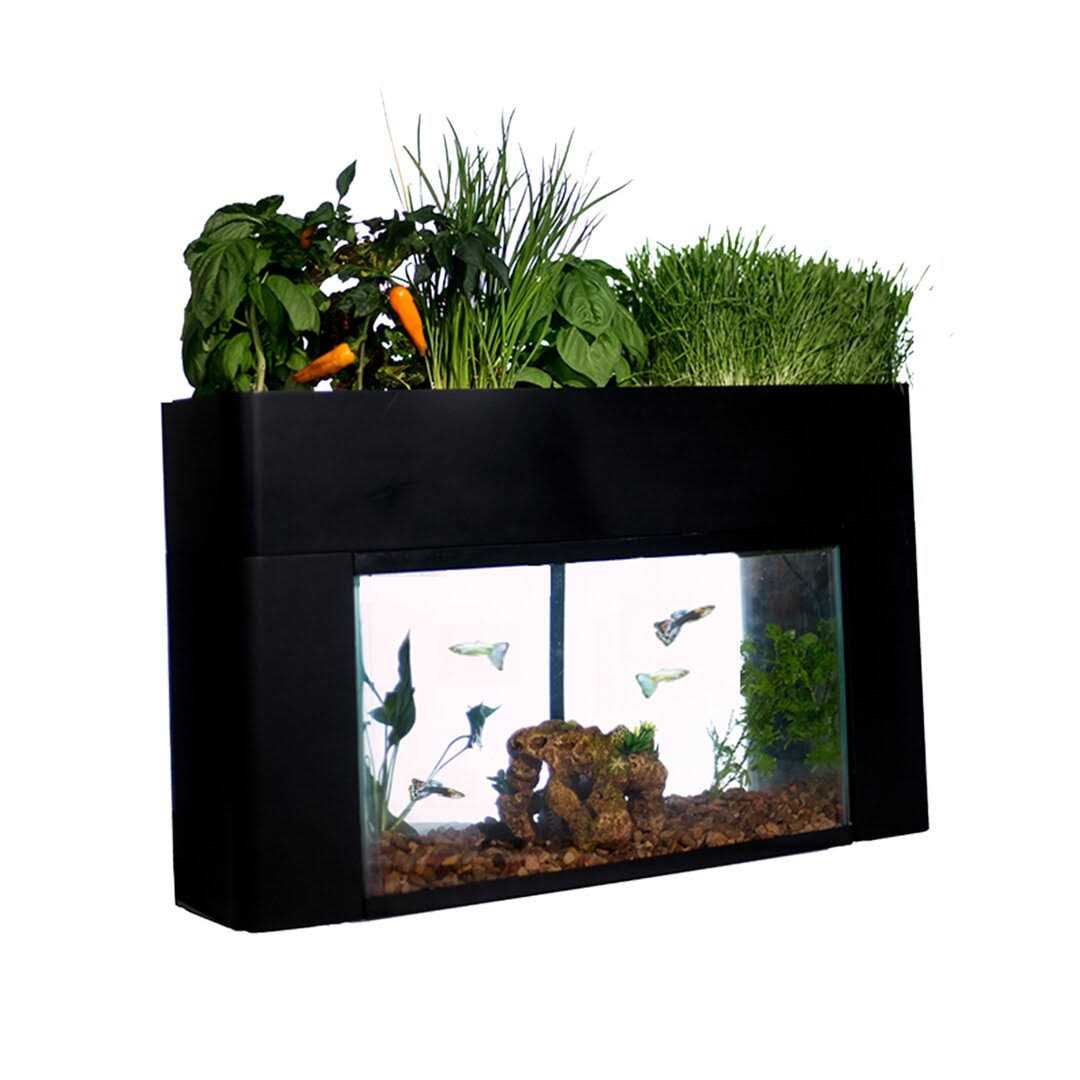 AquaSprouts Garden kit
