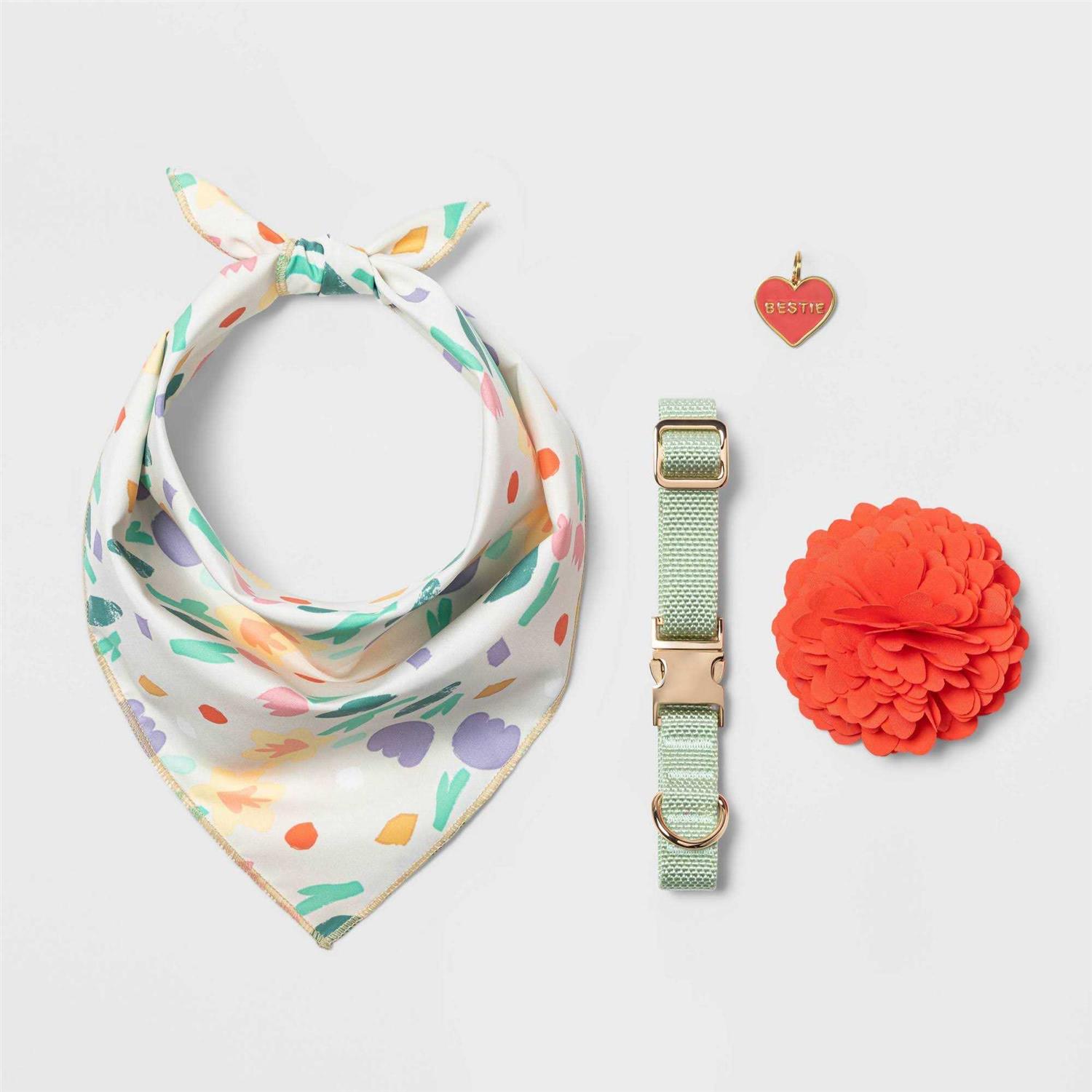 Boots & Barkley Fashion Solid Dog Collar