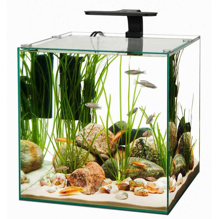 Aqueon Frameless Cube Aquarium