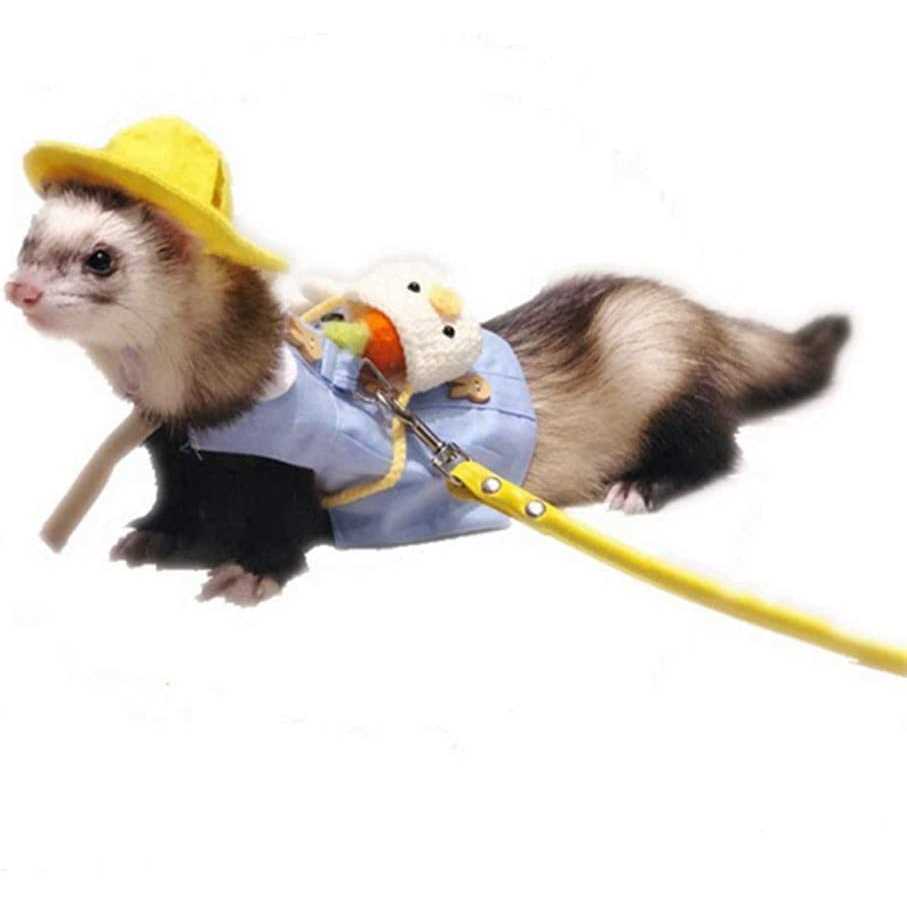 HAICHEN TEC Ferret Clothes Set Small Animal Harness and Leash Adjustable Chest Straps Ferret Apparel Outdoor Walking Accessories Outfit Halloween Party Cosplay