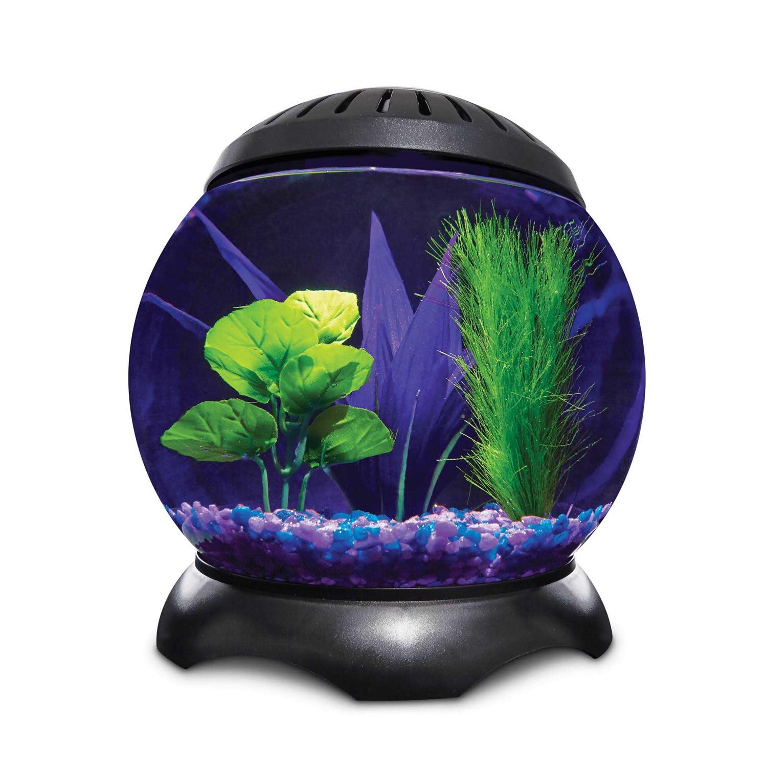 Imagitarium 1.3 Gallon Lotus Tank