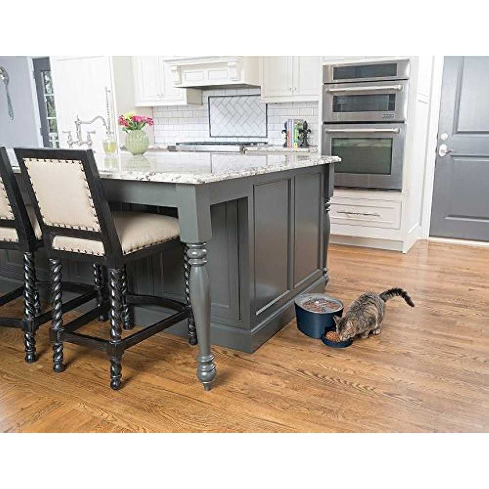 PetSafe Six Meal Automatic Pet Feeder