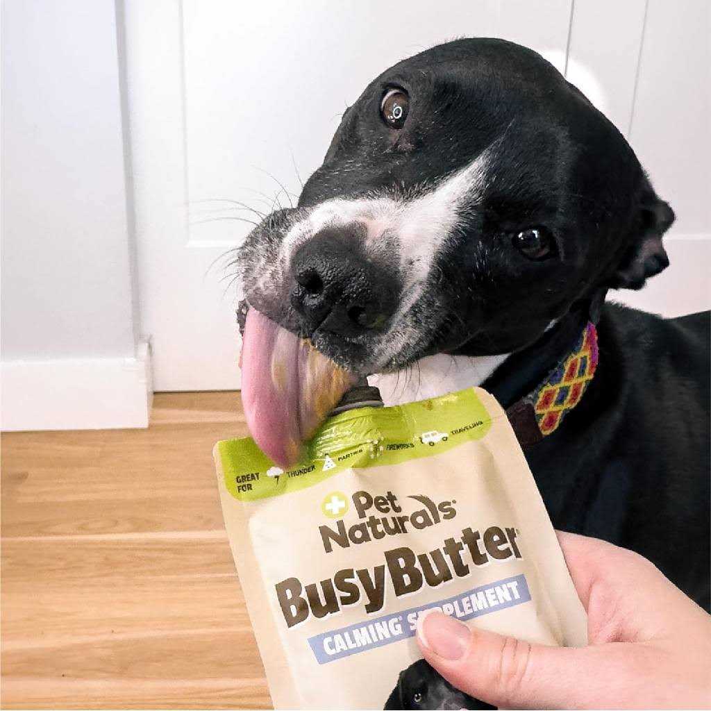 Pet Naturals Calming Peanut Butter