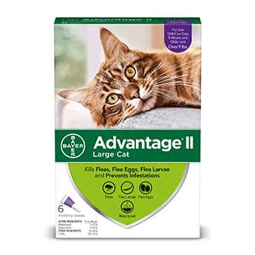 Advantage II Over 9lbs, 6 Treatment Cats Flea Treatment
