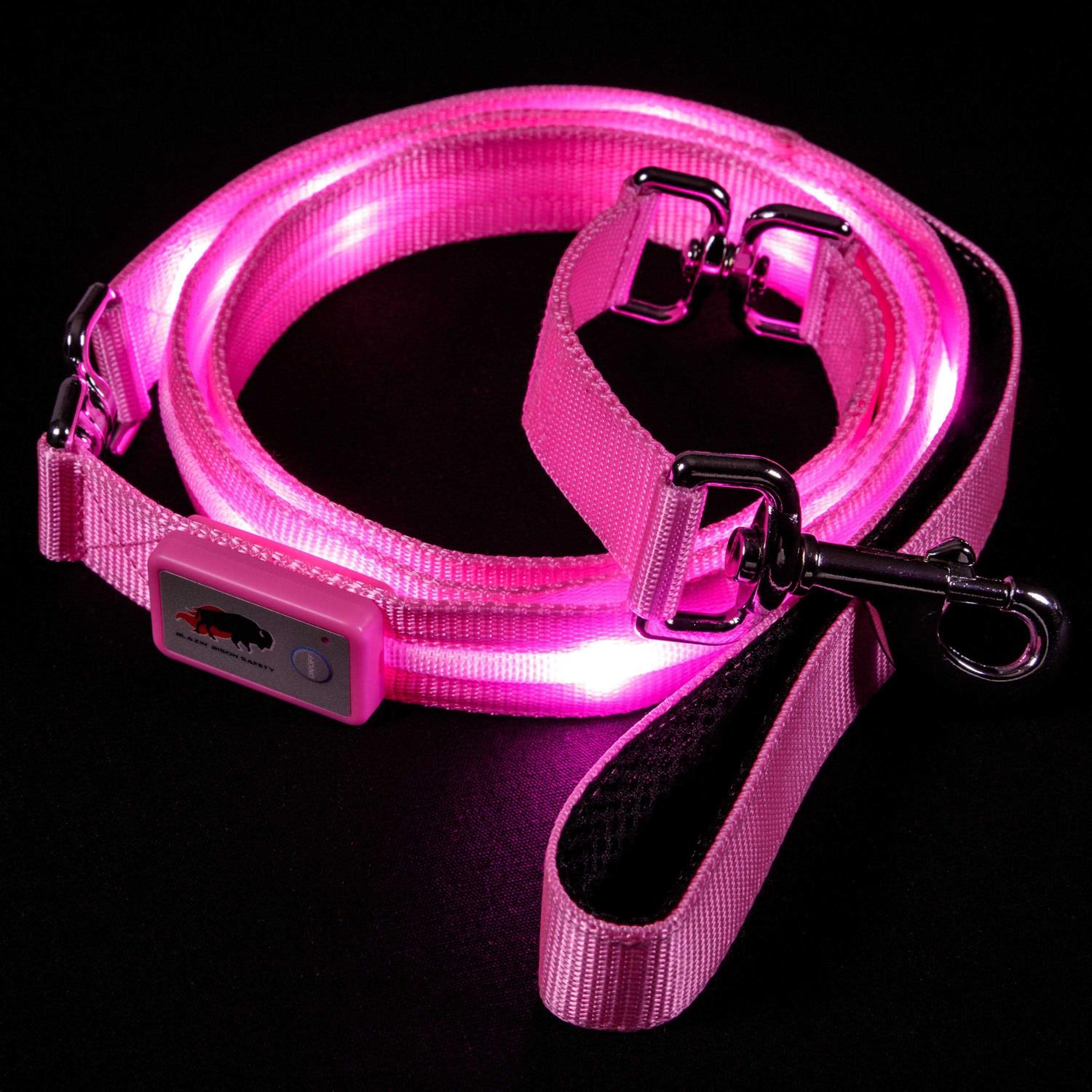 Blazin Safety LED Dog Leash USB Rechargeable Flashing Light