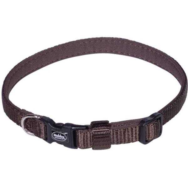 AminAvast Kidney Support for Dogs