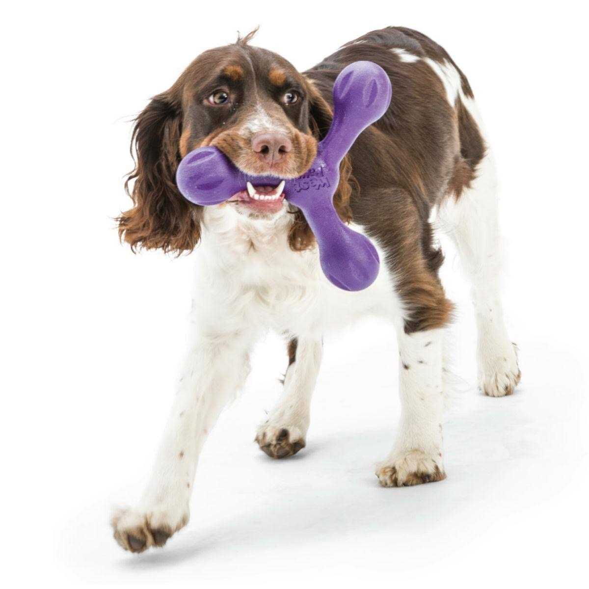 West Paw Skamp Dog Toy
