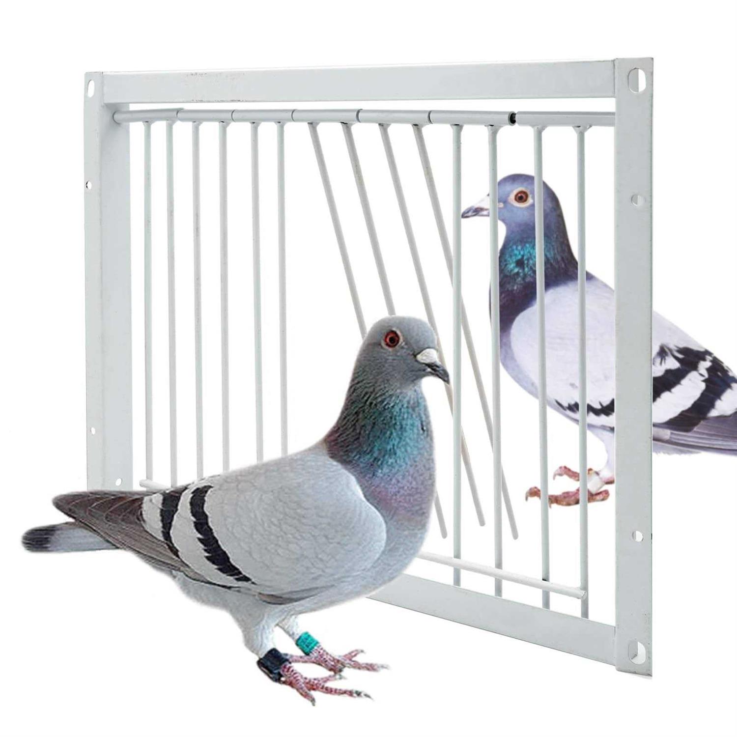 Junniu 11.8in/30cm Pigeon Cage Door One Way Entrance Door Bird T Trap Birdcage Iron Wire Trap Door for Racing Pigeon Bird Cage Breeding Supply