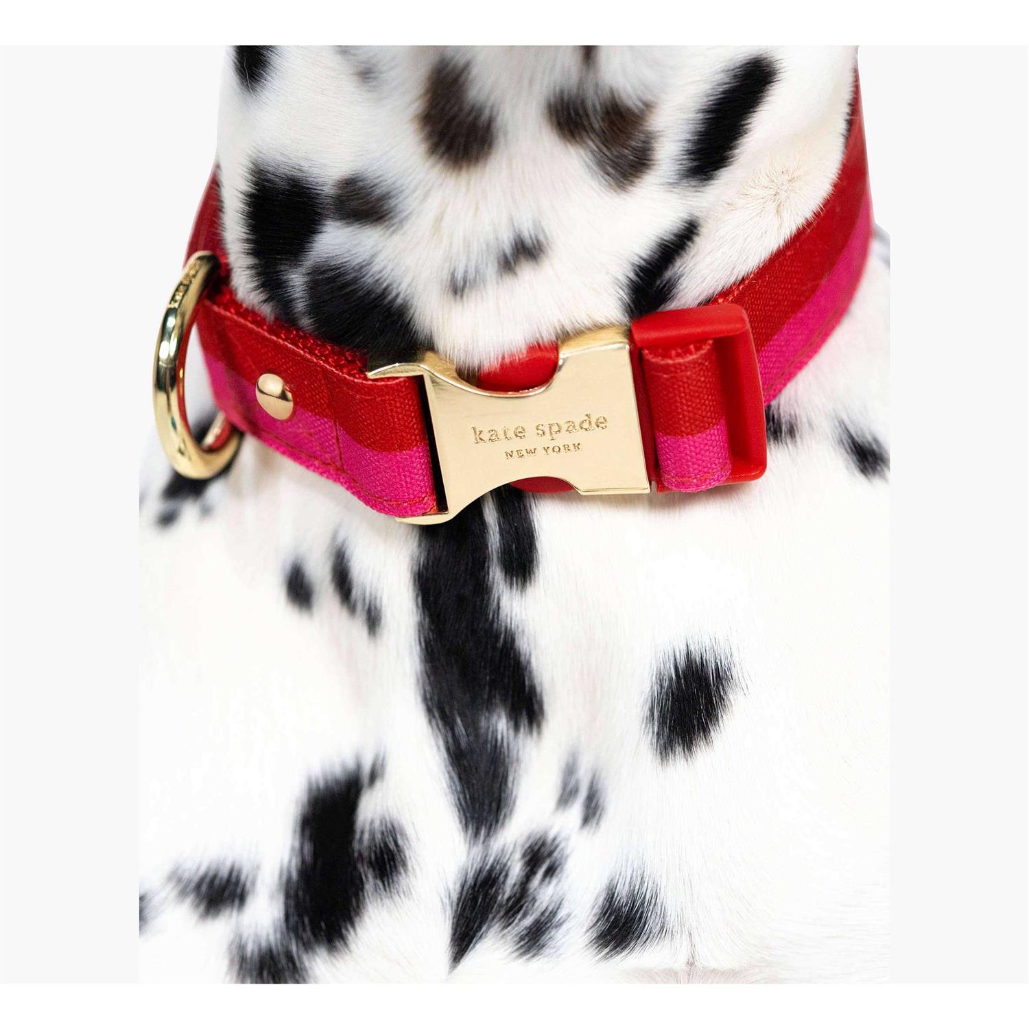 Kate Spade New York Red/Pink Colorblock Dog Collar