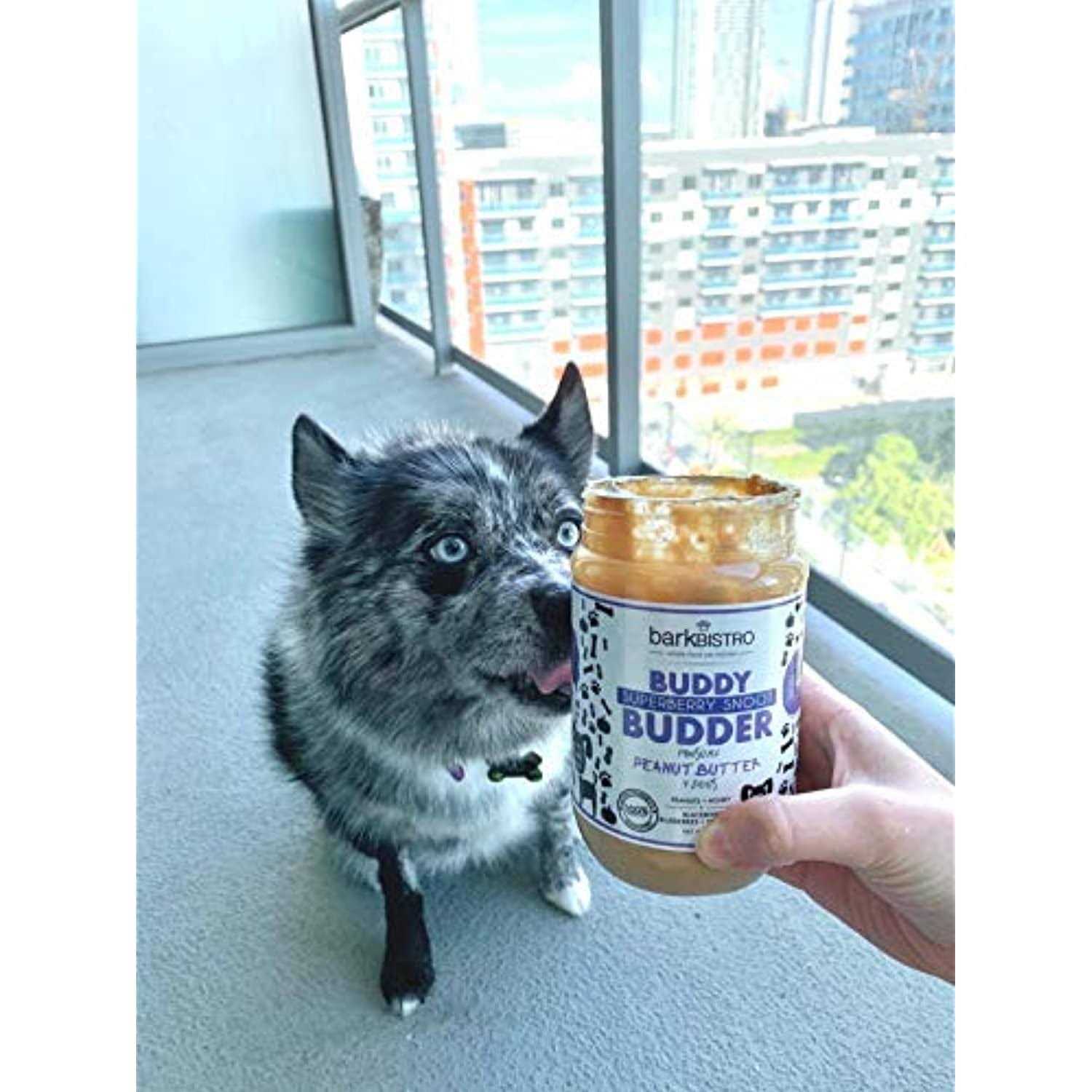 Bark Bistro Superberry Snoot Buddy Budder