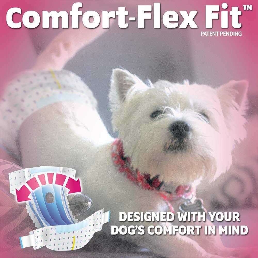 Out! Disposable Female Dog Diapers