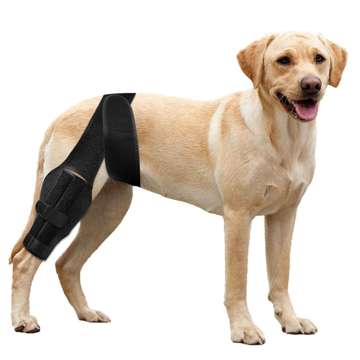 soundfuse Dog Knee Brace, Leg Brace for ACL with Cruciate Ligament Injury, Joint Pain and Muscle Sore