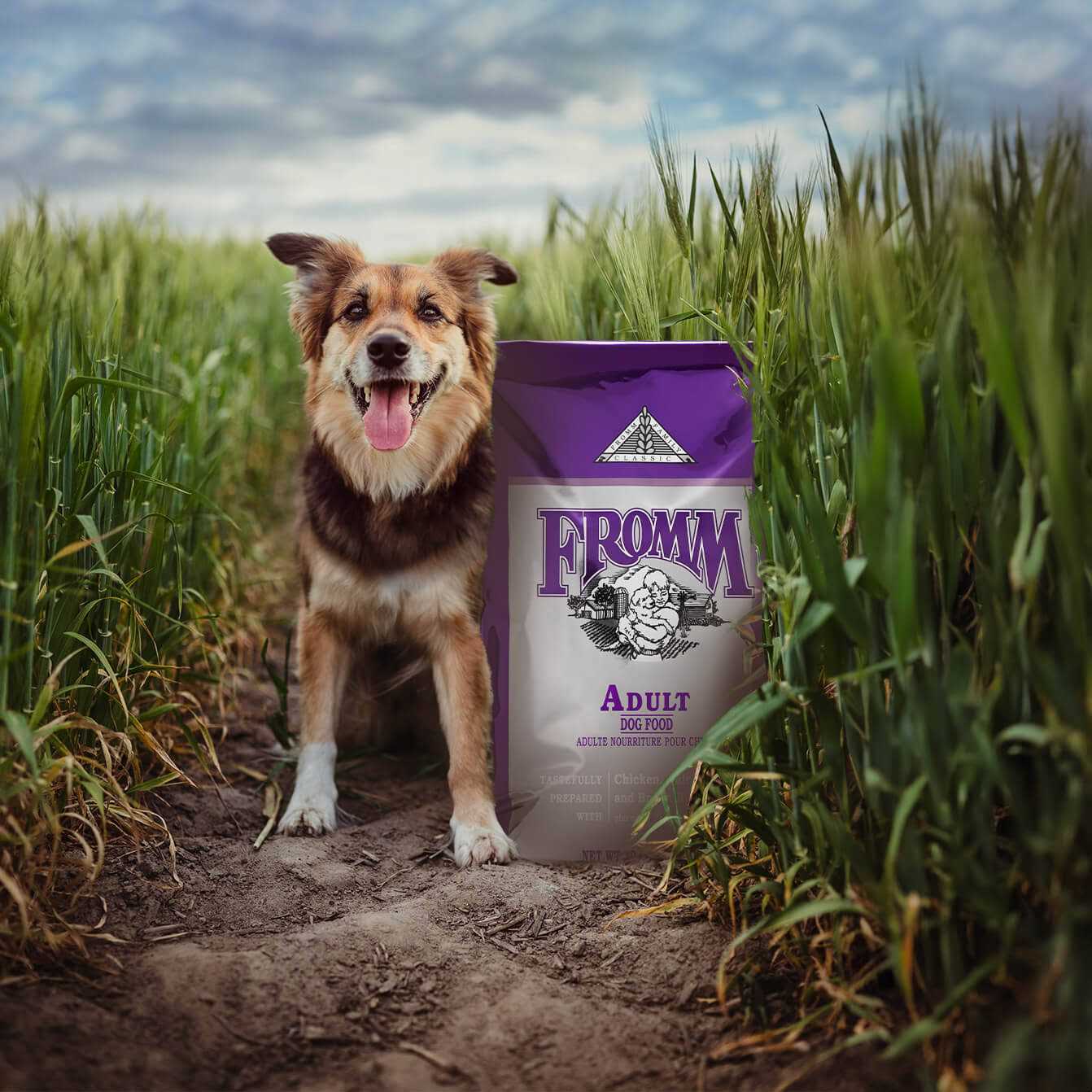 Fromm Classic Adult Dog Food