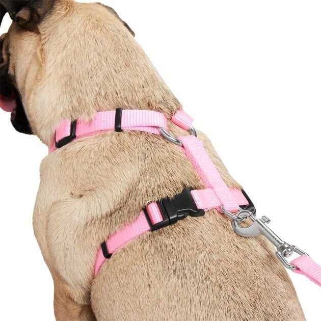 Frisco Padded Nylon No Pull Dog Harness
