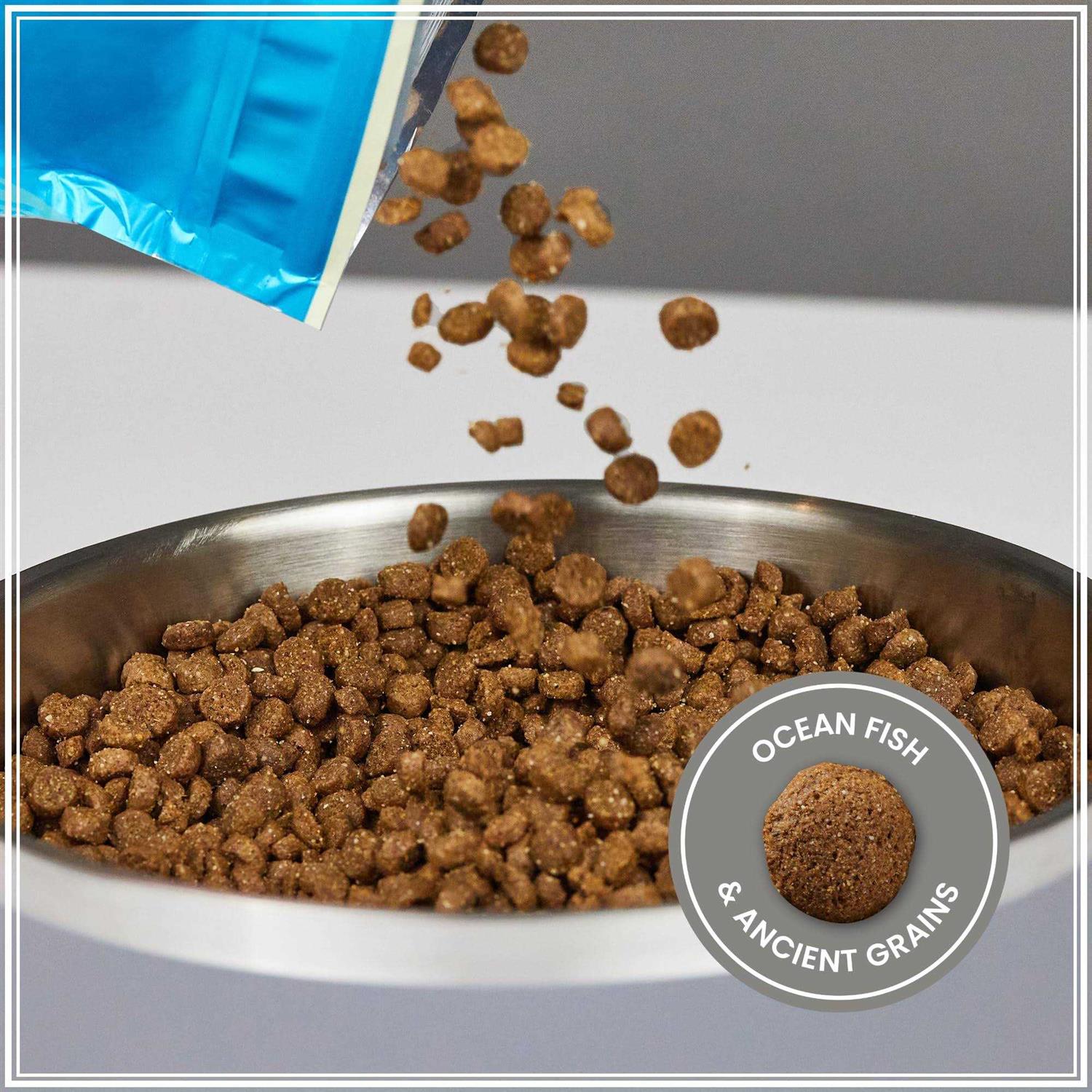 Muenster Ancient Grains with Ocean Fish Dog Food