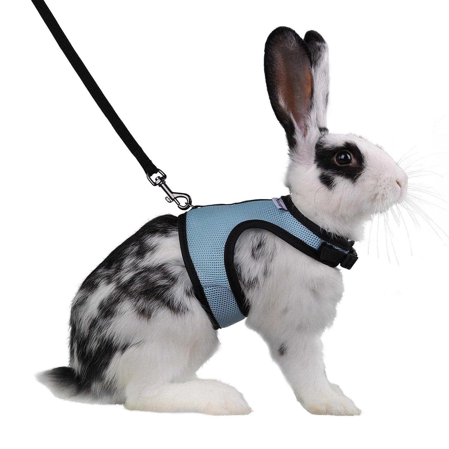 Niteangel Adjustable Soft Harness with Elastic Leash for Rabbits