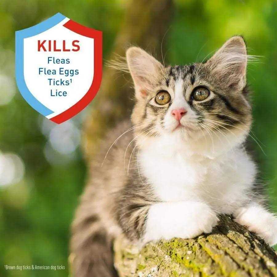 Adams Plus Flea Tick Shampoo