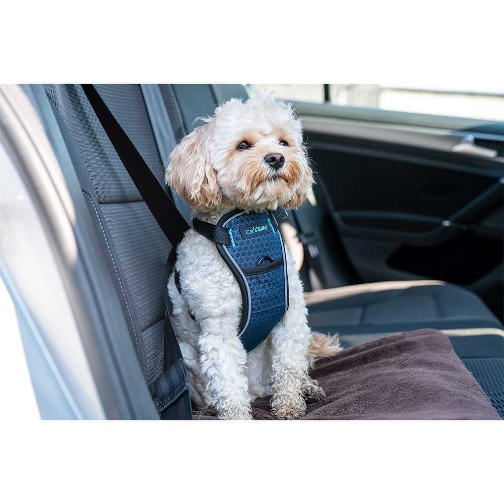 Carsafe Crash Tested Dog Harness